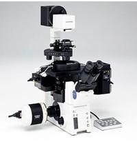 OLYMPUS/奧林巴斯 IX81電動倒置顯微鏡