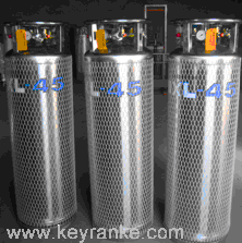 Taylor-Wharton泰萊華頓 XL系列液氮罐D(zhuǎn)PL452-180-1.38（原為XL-45）