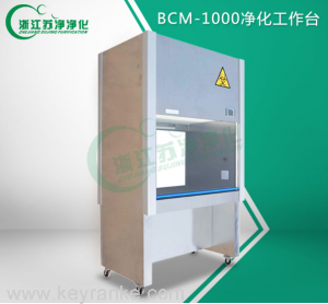 BCM-1000凈化工作臺